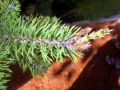 2010 05 24 jeanmarcperfetti.com 016.JPG